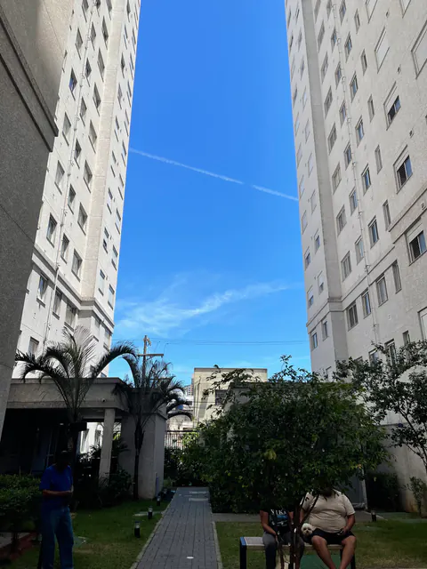 contrail